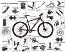 Как выбрать велосипед? Как выбрать велосипед?