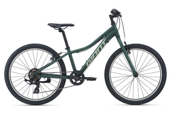 Велосипед GIANT XtC Jr 24 Lite (2021)
